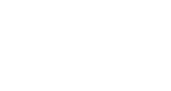 Tronchetto