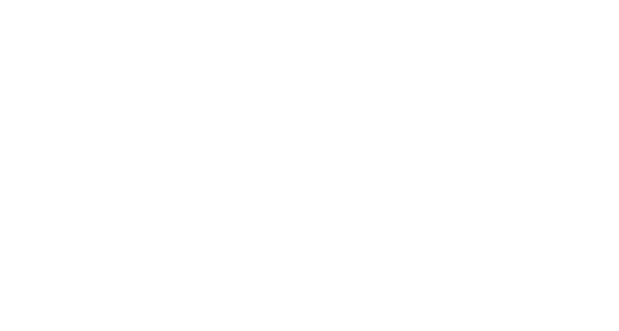 Boogies